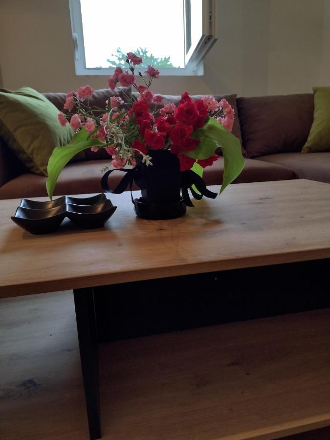 Smestaj Stanisavljevic Sokobanja Extérieur photo